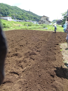 DSC05652.JPG