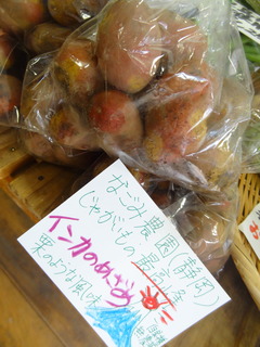 DSC05670.JPG