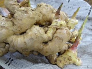 DSC05674.JPG