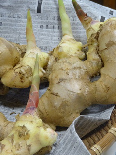 DSC05676.JPG