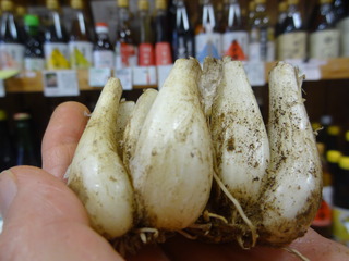 DSC05684.JPG