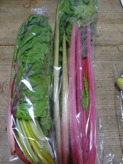 DSC05728.JPG