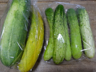 DSC05729.JPG