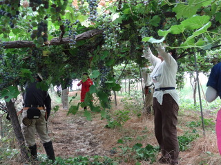 DSC05897.JPG