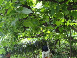 DSC05898.JPG