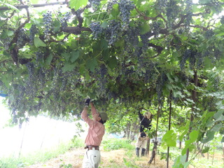 DSC05900.JPG