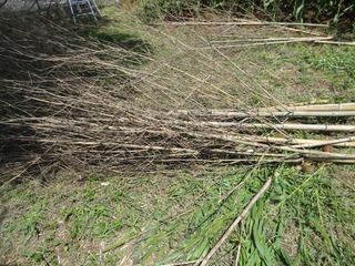 DSC05996.JPG