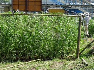 DSC06003.JPG