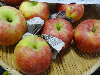 DSC06028.JPG