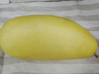 DSC06046.JPG