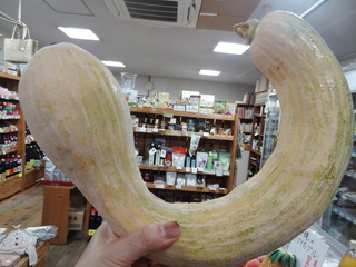 DSC06048.JPG