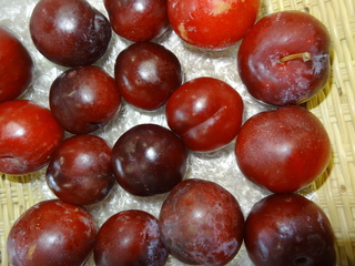 DSC06054.JPG