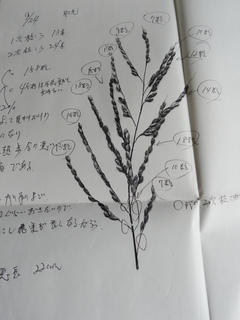 DSC06078.JPG