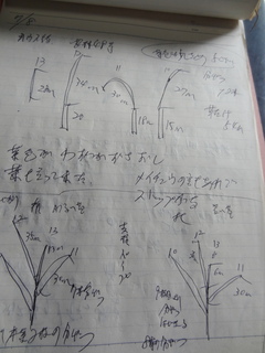DSC06079.JPG