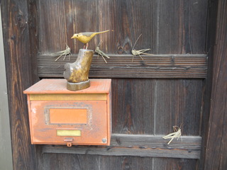 DSC06082.JPG
