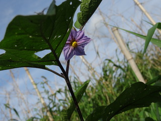 DSC06148.JPG