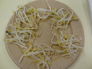 DSC06298.JPG