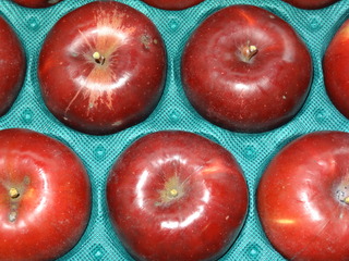 DSC06386.JPG