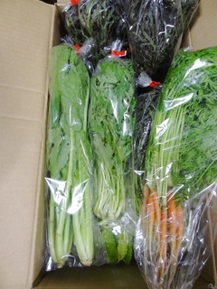 DSC06414.JPG