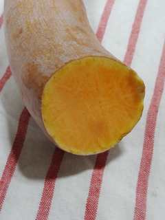 DSC06416.JPG