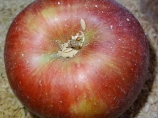 DSC06419.JPG