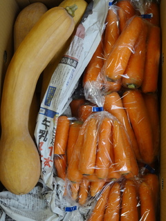 DSC06421.JPG