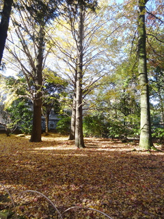 DSC06645.JPG