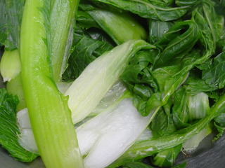 DSC06775.JPG