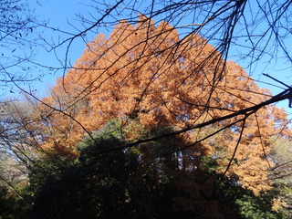 DSC06806.JPG