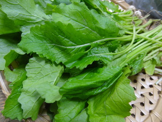 DSC06828.JPG