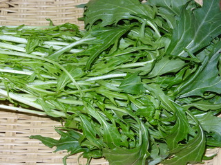 DSC06878.JPG