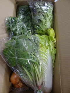 DSC06880.JPG