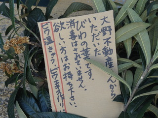 DSC06991.JPG