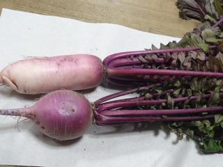 DSC06999.JPG