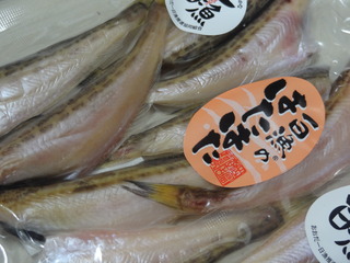 DSC07002.JPG