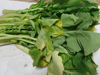 DSC07013.JPG