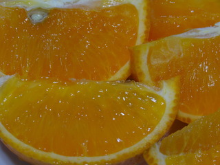 DSC07017.JPG