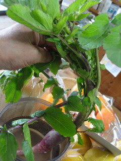 DSC07032.JPG