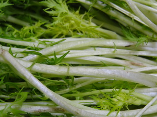 DSC07034.JPG
