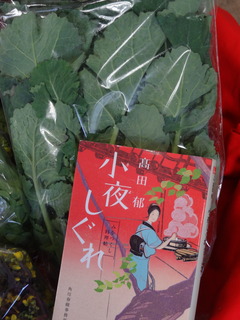 DSC07044.JPG