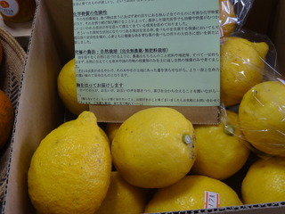 DSC07078.JPG