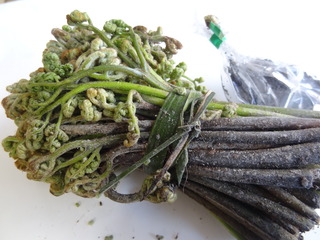 DSC07131.JPG
