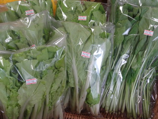 DSC07237.JPG