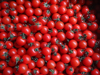 DSC07244.JPG