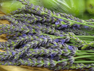 DSC07324.JPG
