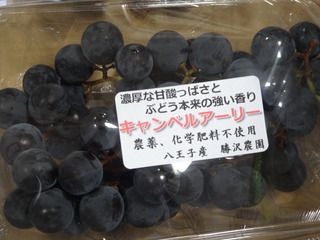 DSC07487.JPG