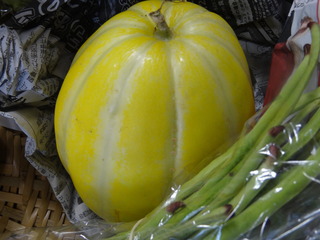 DSC07495.JPG