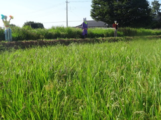 DSC07526.JPG