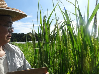 DSC07535.JPG
