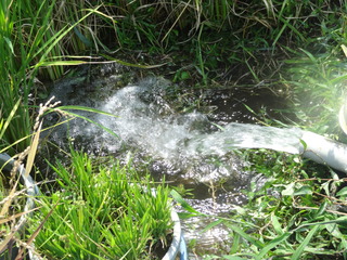 DSC07544.JPG
